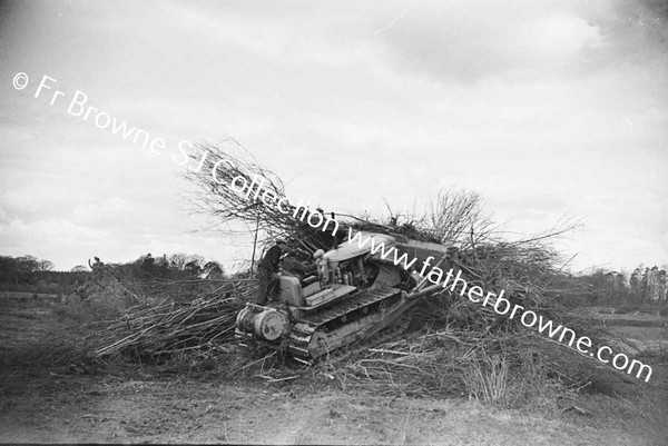 BULLDOZER  CLEARING SCRUB AND TREES  NEAR LAKE